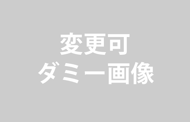 特徴その2 テキストテキスト