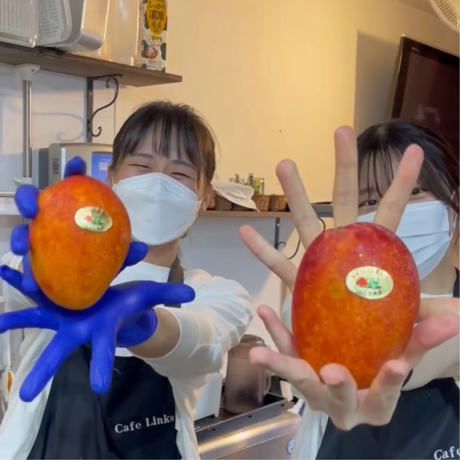 募集職種